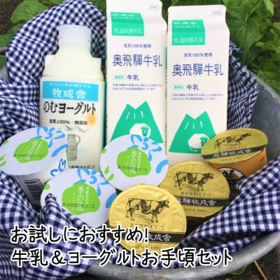 お手頃価格 牛乳 ヨーグルトセット 牧成舎 ぼくせいしゃ の通販サイト お手頃価格 牛乳 ヨーグルトセット 牧成舎 ぼくせいしゃ の通販サイト