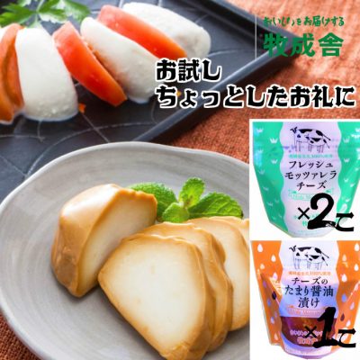 お手頃価格 モッツァレラ2種 3個セット 牧成舎 ぼくせいしゃ の通販サイト お手頃価格 モッツァレラ2種 3個セット 牧成舎 ぼくせいしゃ の通販サイト
