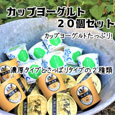 <お手頃価格>ヨーグルト20個セットの画像