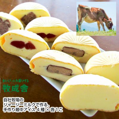 自社牧場のジャージーミルクで作る最中アイス4種セット(4個入り)の画像