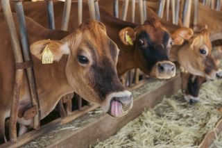 年末年始の営業について