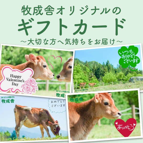 牧成舎オリジナルのギフトカード