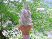 【9月1日の工事は無事に終了し、ソフトクリーム通常販売再開いたしました】9月1日ソフトクリーム販売休止のご案内