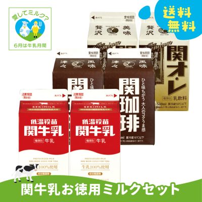 岐阜牛乳応援キャンペーン!【関牛乳 徳用牛乳セット】の画像