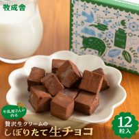 贅沢生クリーム搾りたて生チョコ12粒の画像